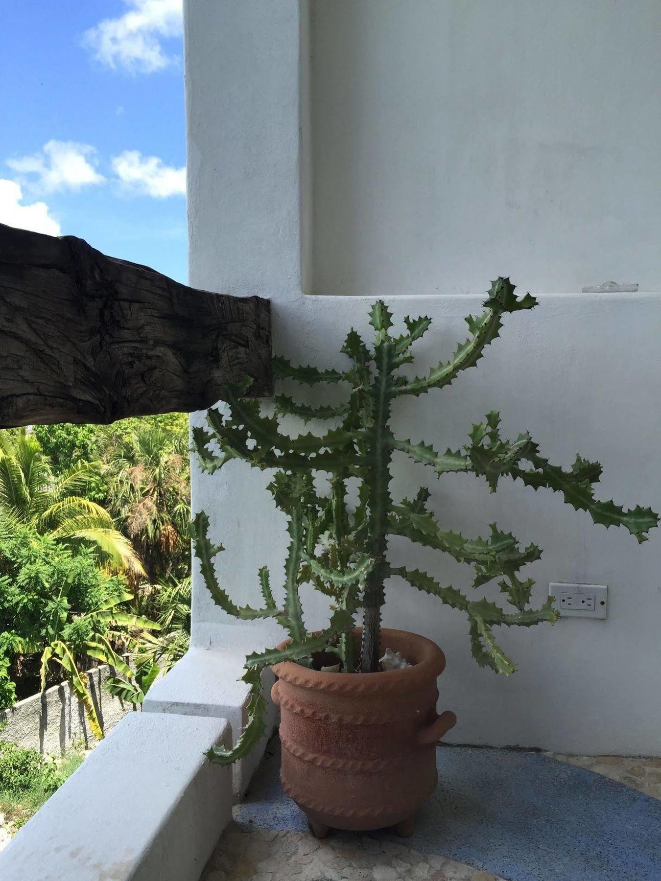 Mi Casa En Cozumel Ξενοδοχείο Εξωτερικό φωτογραφία