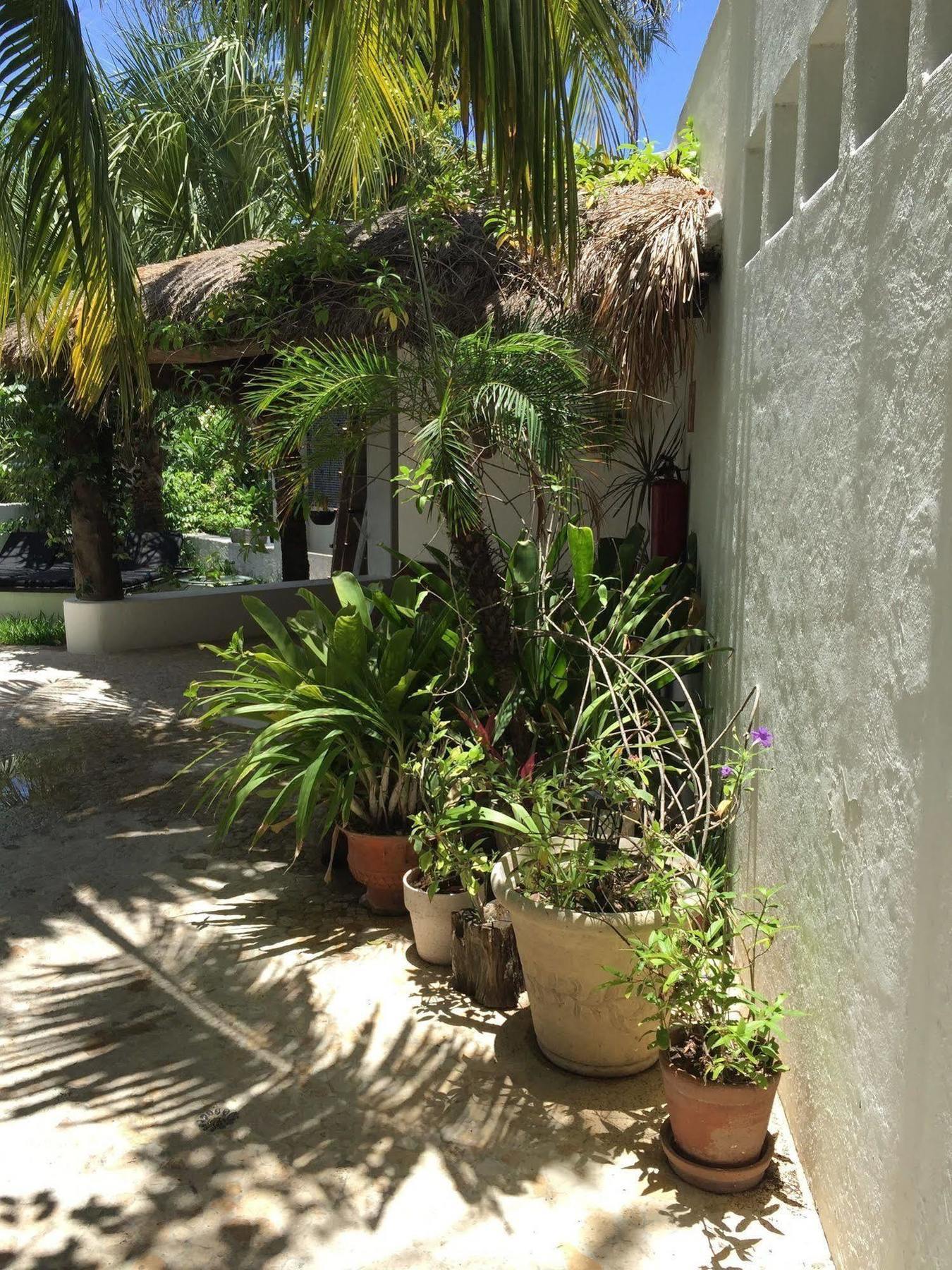 Mi Casa En Cozumel Ξενοδοχείο Εξωτερικό φωτογραφία
