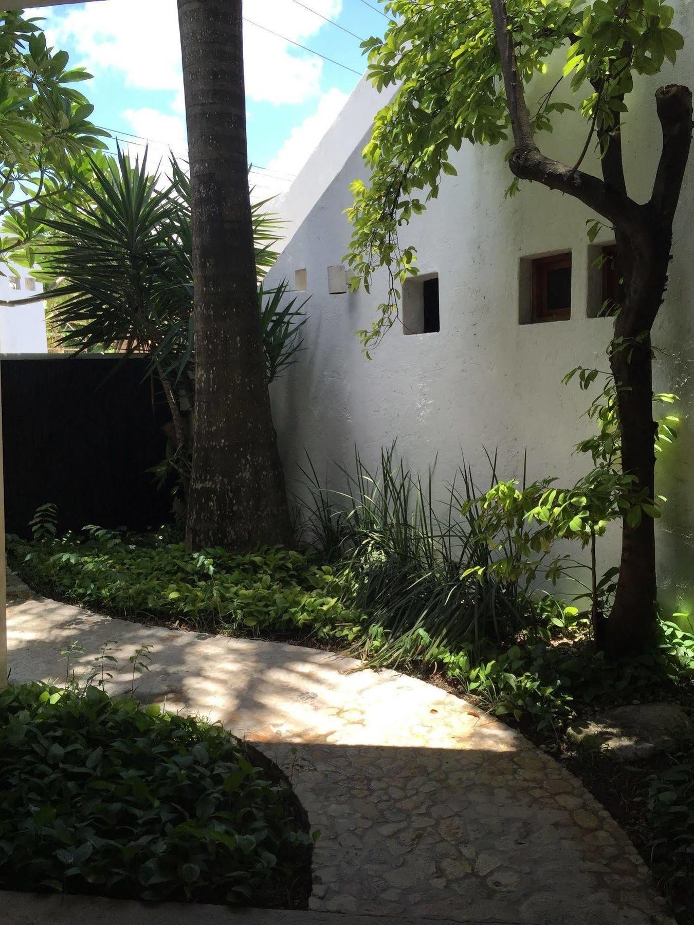 Mi Casa En Cozumel Ξενοδοχείο Εξωτερικό φωτογραφία