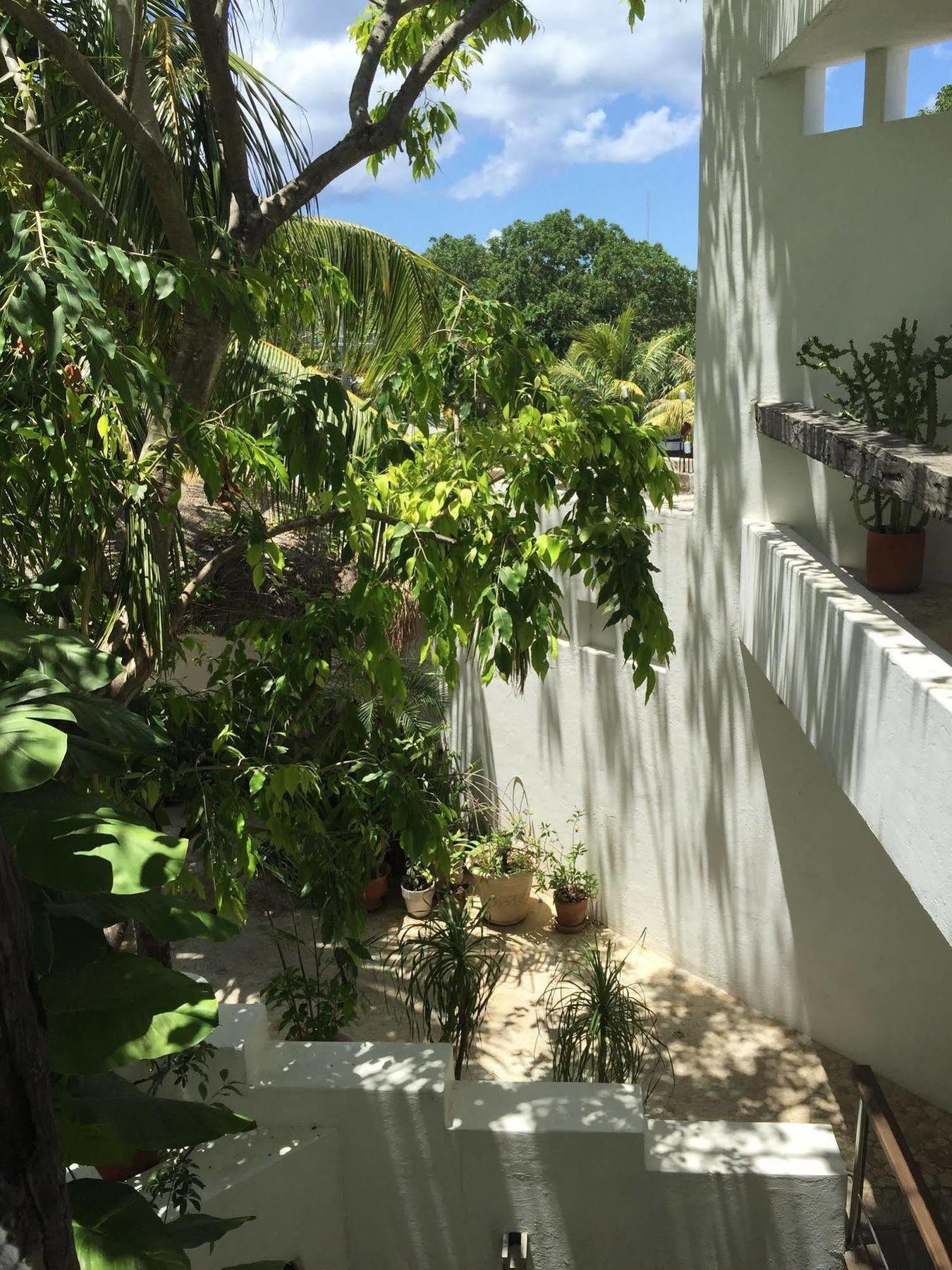 Mi Casa En Cozumel Ξενοδοχείο Εξωτερικό φωτογραφία
